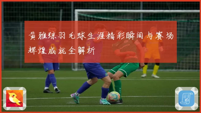 黄雅琼羽毛球生涯精彩瞬间与赛场辉煌成就全解析