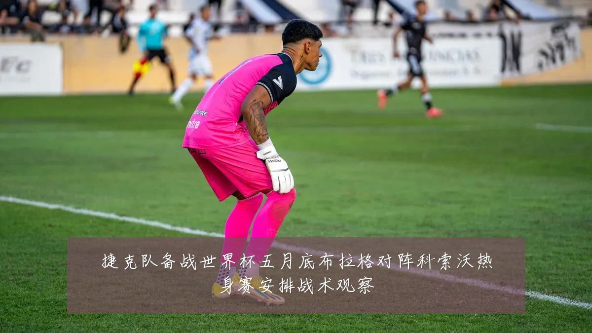 捷克队备战世界杯五月底布拉格对阵科索沃热身赛安排战术观察