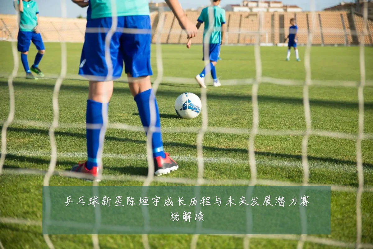 乒乓球新星陈垣宇成长历程与未来发展潜力赛场解读